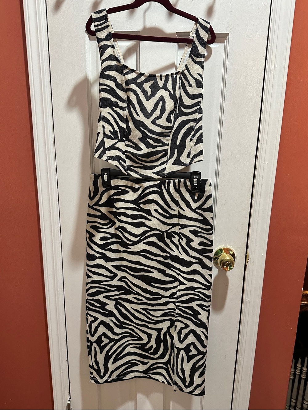 Zebra-Print Sleeveless Two Piece Set: Top and Skirt